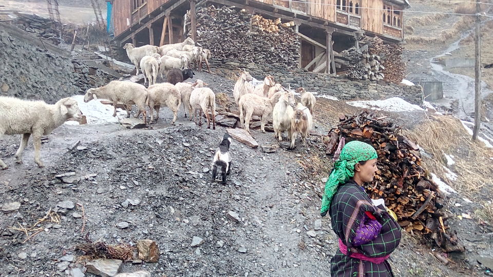 Photo of Malana - A village full of taboos. by Rajpal Singh