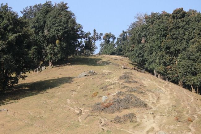 Photo of Trek - NagTibba 4/10 by Rajpal Singh