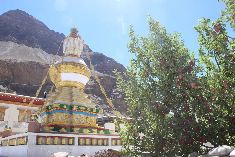 Photo of Tabo Monastery, Tabo, Himachal Pradesh, India by Rajpal Singh