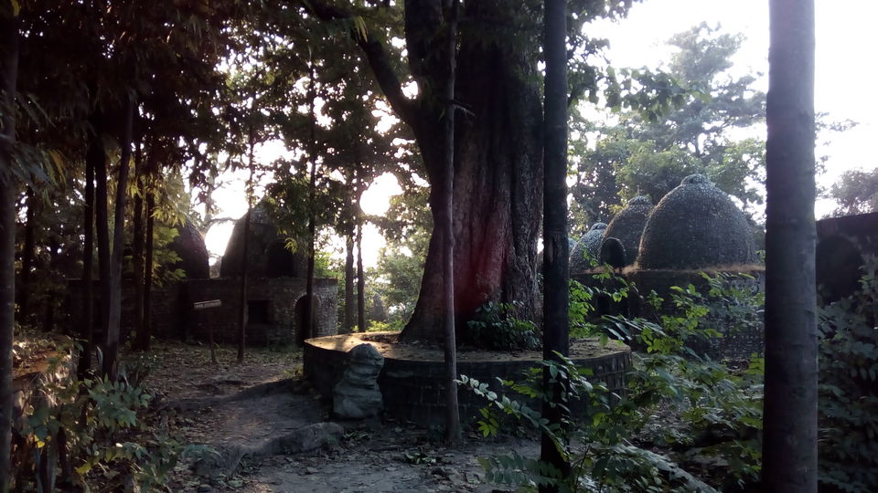 Photo of Beatles Ashram, Rishikesh – A walk in history. 20/25 by Rajpal Singh