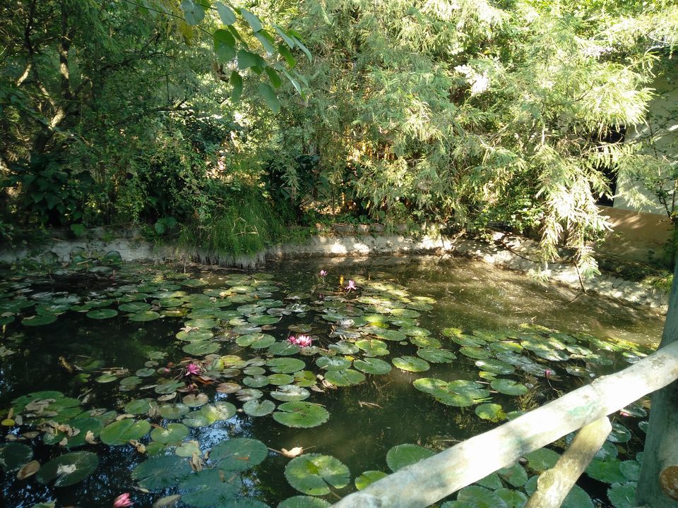 Photo of Pawalgarh Conservation Reserve, Mailani Range, Uttarakhand, India by Rajpal Singh