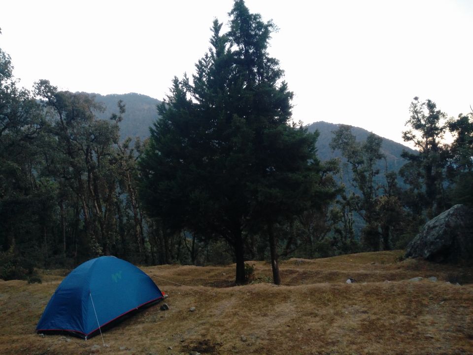 Photo of Pangot, Uttarakhand, India by Rajpal Singh