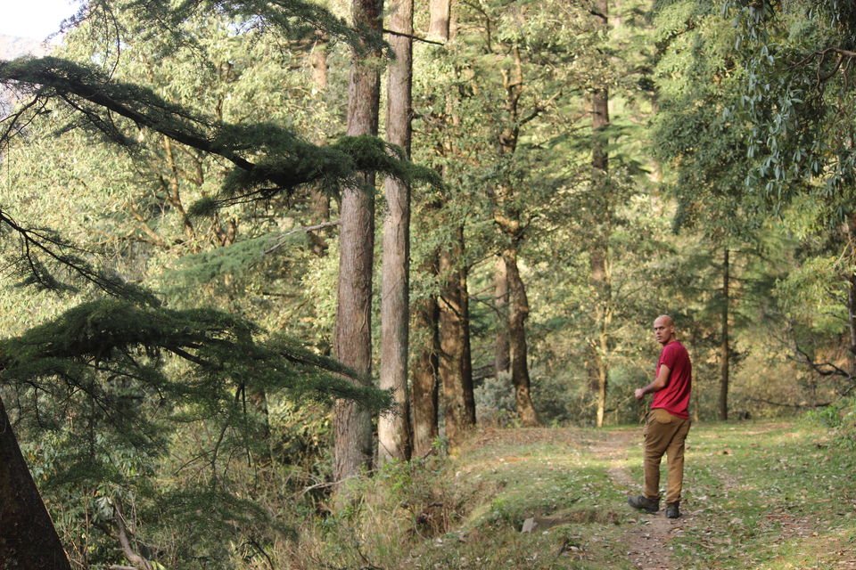 Photo of Great Himalayan National Park - A Half Lived Dream. 1/43 by Rajpal Singh