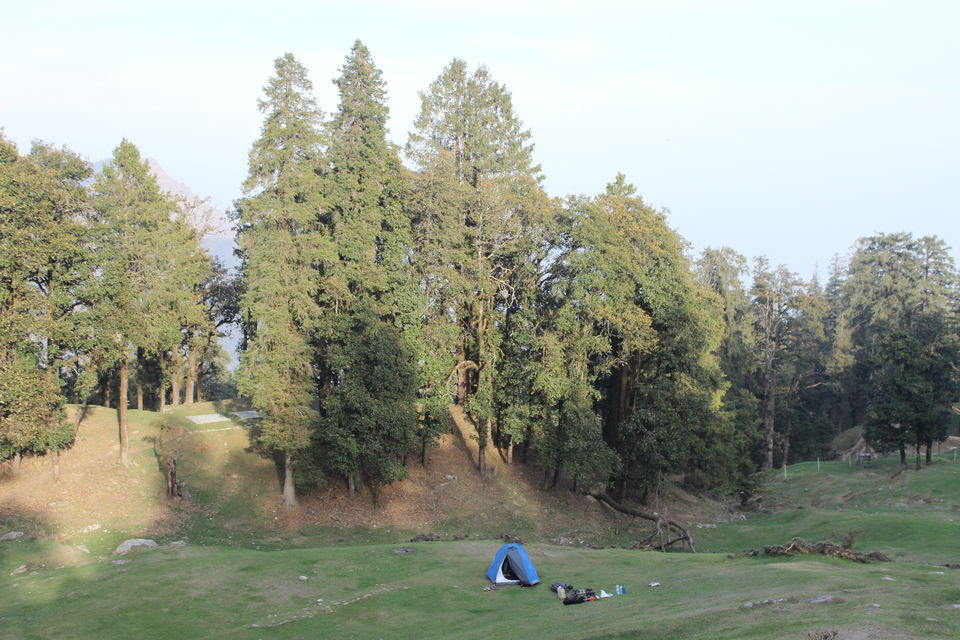 Photo of Great Himalayan National Park - A Half Lived Dream. 9/43 by Rajpal Singh