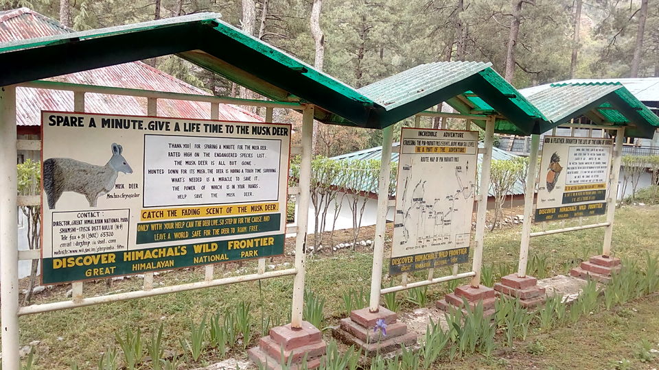 Photo of Great Himalayan National Park - A Half Lived Dream. 14/43 by Rajpal Singh