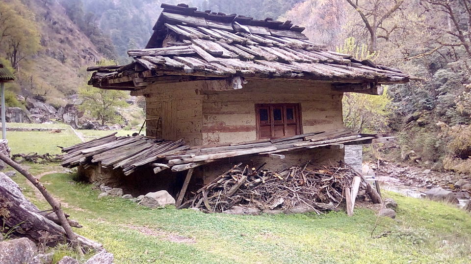 Photo of Great Himalayan National Park - A Half Lived Dream. 23/43 by Rajpal Singh