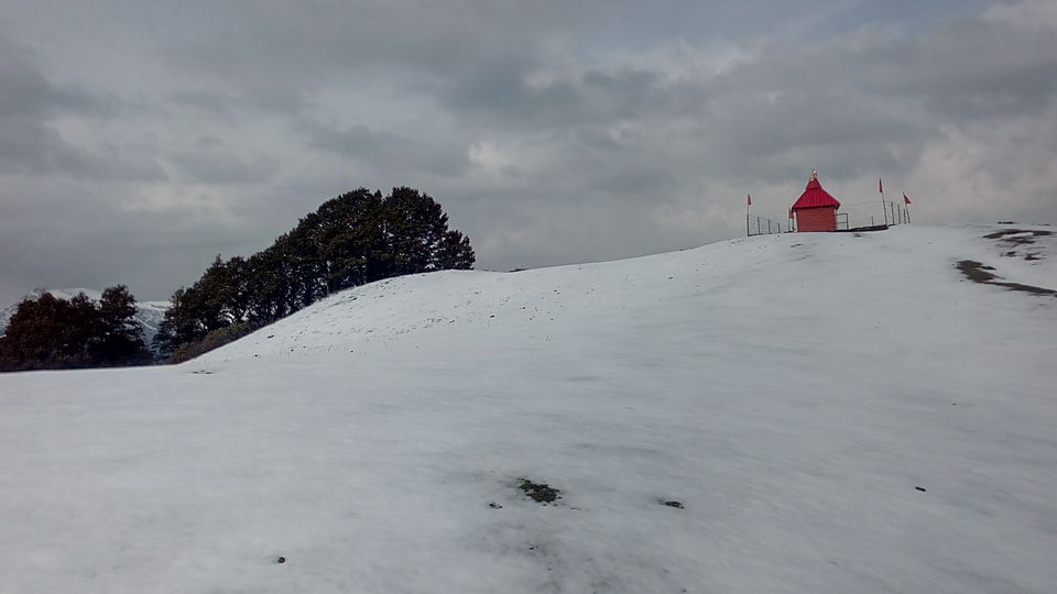 Photo of Great Himalayan National Park - A Half Lived Dream. 28/43 by Rajpal Singh
