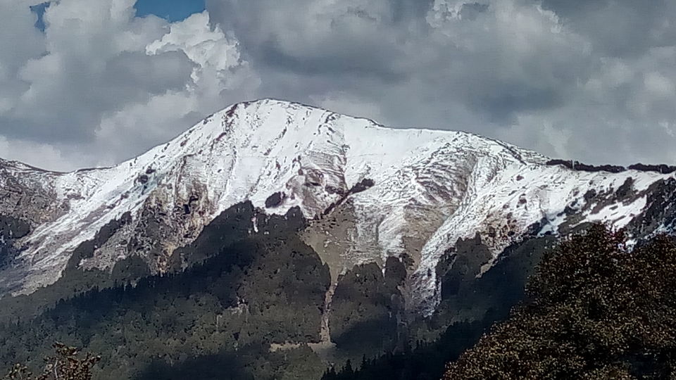 Photo of Great Himalayan National Park - A Half Lived Dream. 29/43 by Rajpal Singh