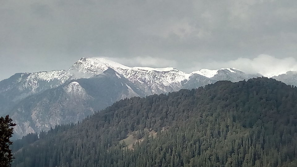 Photo of Great Himalayan National Park - A Half Lived Dream. 30/43 by Rajpal Singh