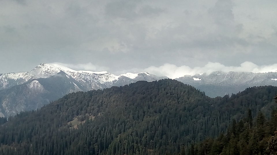 Photo of Great Himalayan National Park - A Half Lived Dream. 32/43 by Rajpal Singh