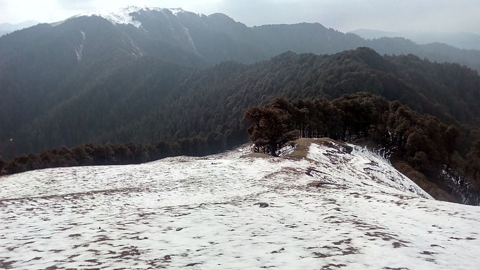 Photo of Great Himalayan National Park - A Half Lived Dream. 34/43 by Rajpal Singh