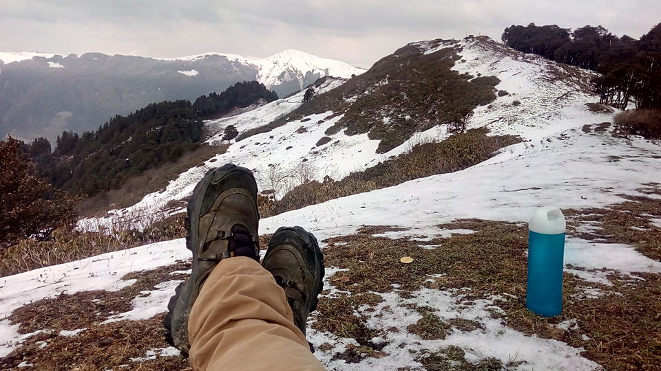 Photo of Great Himalayan National Park - A Half Lived Dream. 38/43 by Rajpal Singh