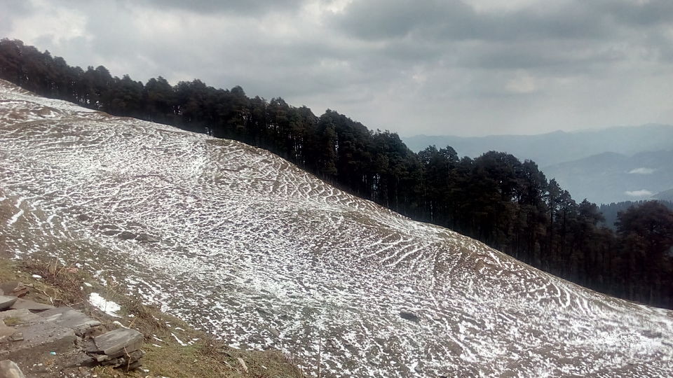 Photo of Great Himalayan National Park - A Half Lived Dream. 39/43 by Rajpal Singh