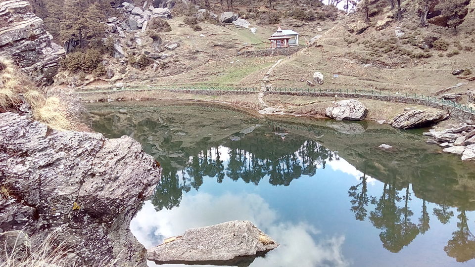 Photo of Great Himalayan National Park - A Half Lived Dream. 43/43 by Rajpal Singh