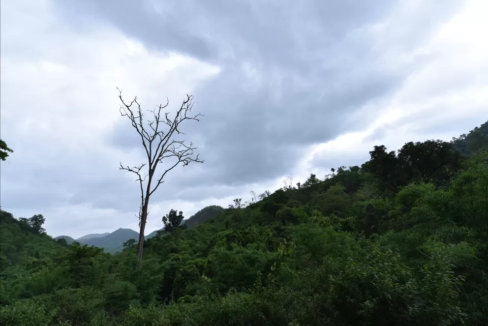 Photo of Karlapat Wildlife Sanctuary by Bala Sanjay Kumar