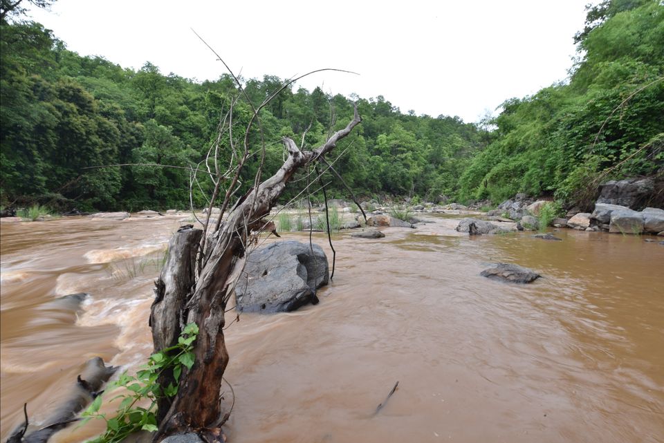 Photo of Karlapat Wildlife Sanctuary by Bala Sanjay Kumar