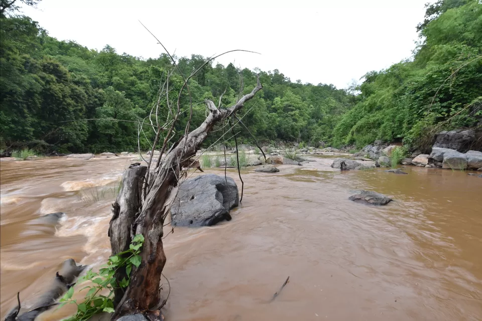 Photo of Karlapat Wildlife Sanctuary by Bala Sanjay Kumar