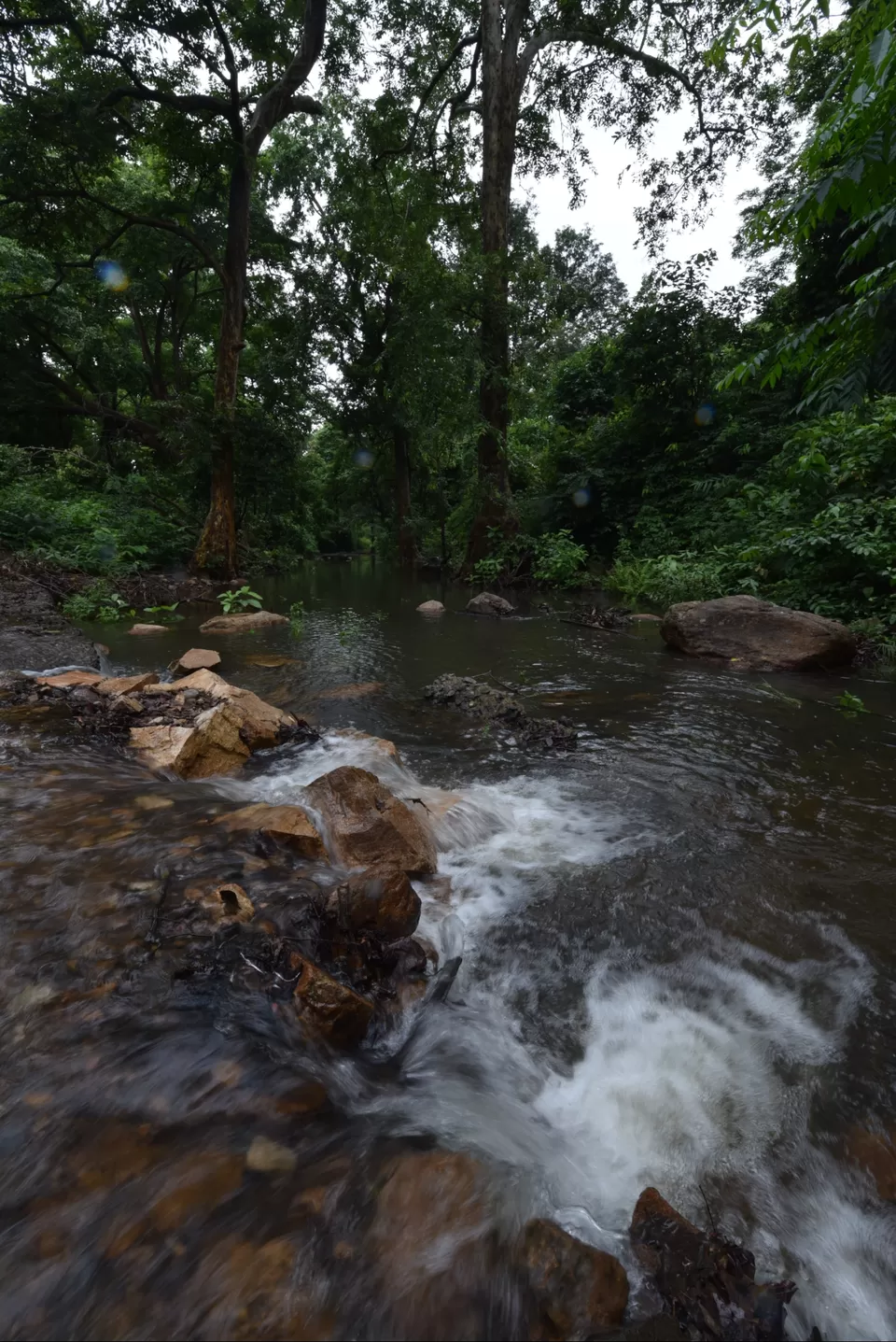 Photo of Karlapat Wildlife Sanctuary by Bala Sanjay Kumar