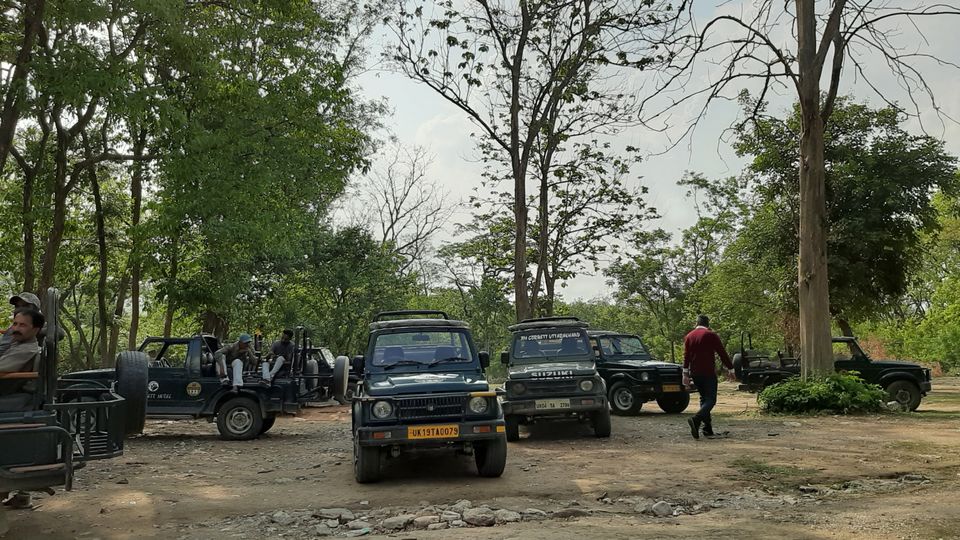 Photo of Jim Corbett National Park, Ramnagar, Uttarakhand, India by Sakshi Gupta