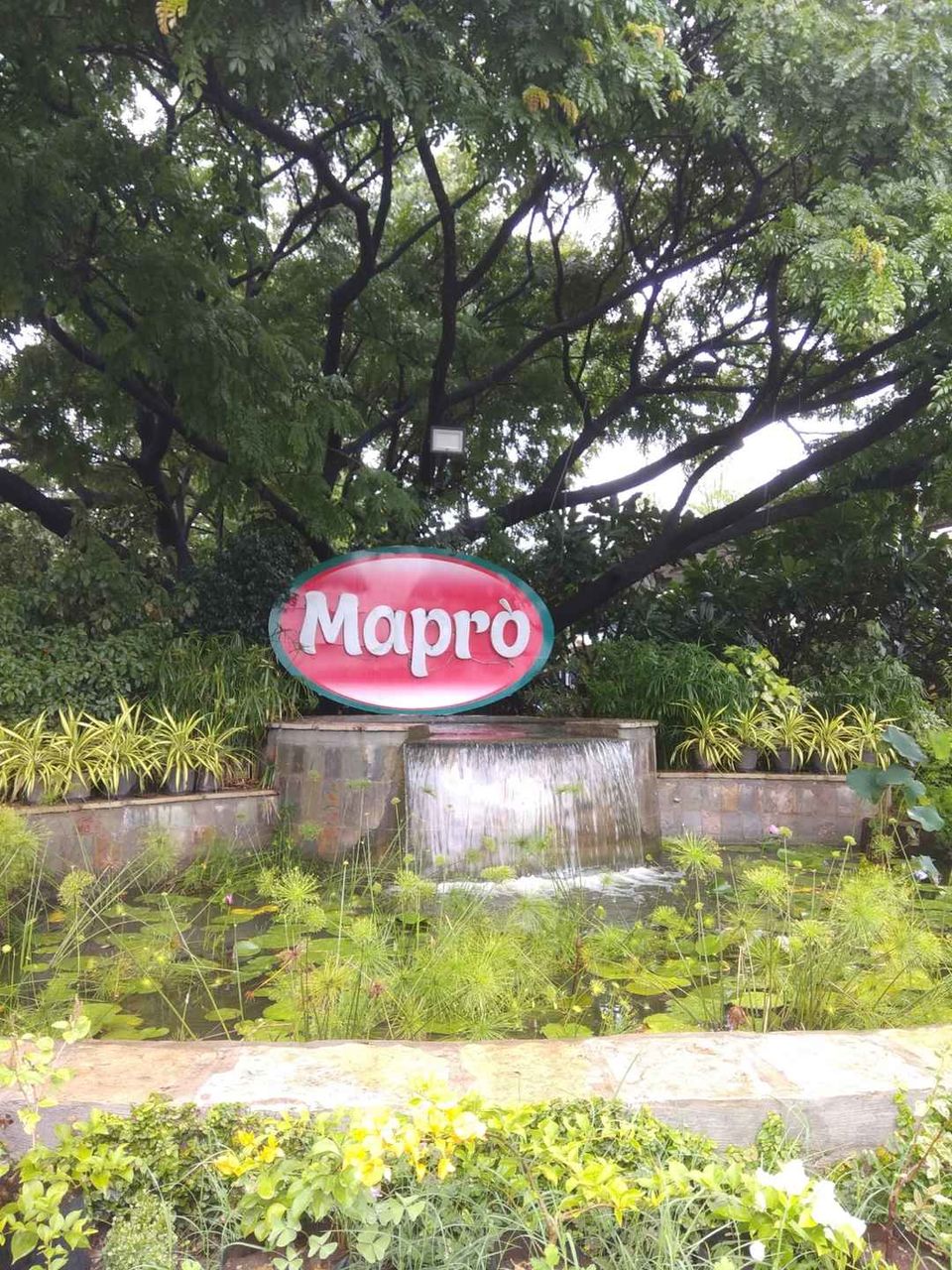 Photo of Bengaluru - Mumbai Highway, Sports Association Park, Sector 6, Vashi, Navi Mumbai, Maharashtra, India by Partha Sarathi Kalita