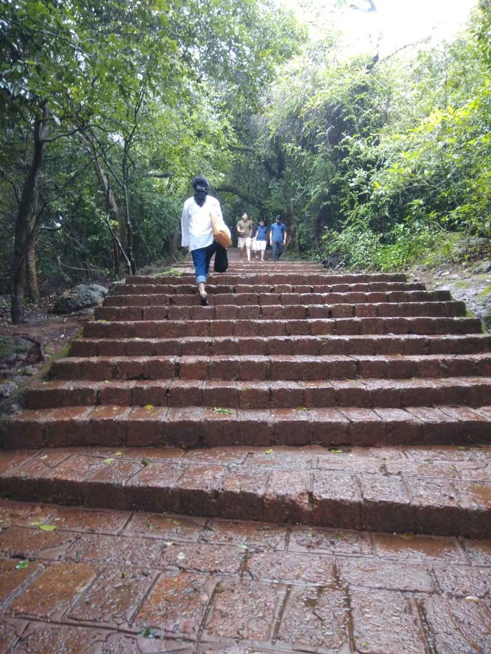 Photo of Bengaluru - Mumbai Highway, Sports Association Park, Sector 6, Vashi, Navi Mumbai, Maharashtra, India by Partha Sarathi Kalita