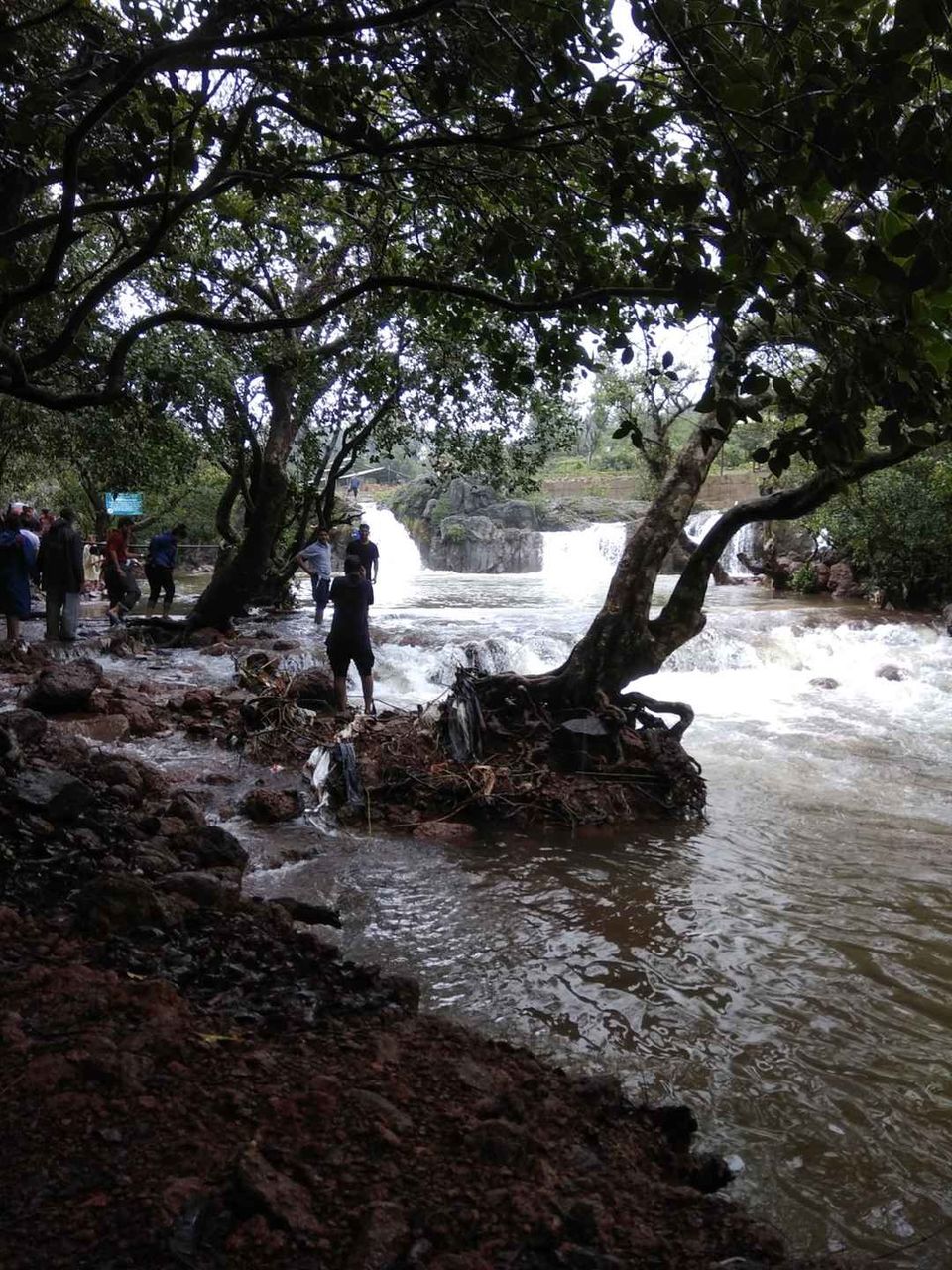 Photo of Bengaluru - Mumbai Highway, Sports Association Park, Sector 6, Vashi, Navi Mumbai, Maharashtra, India by Partha Sarathi Kalita