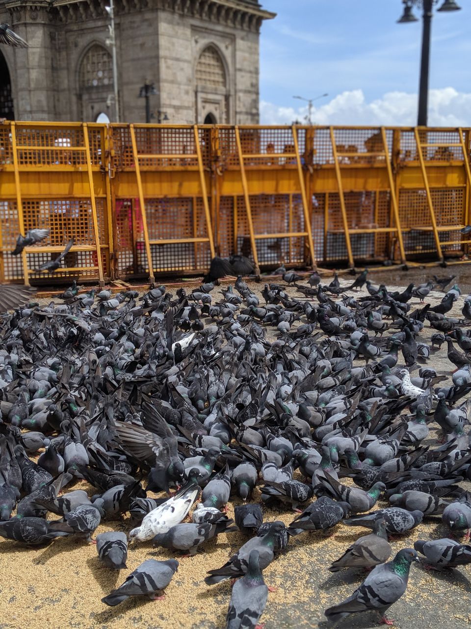 Photo of LIVE a slice of Mumbai, in less than 12 hours! 11/19 by Neha Sudan