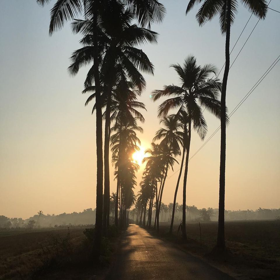 Photo of Arambol, Goa, India by Akhil