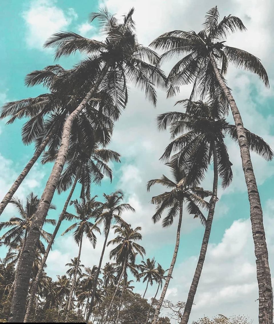 Photo of Palolem, Canacona, Goa, India by Akhil