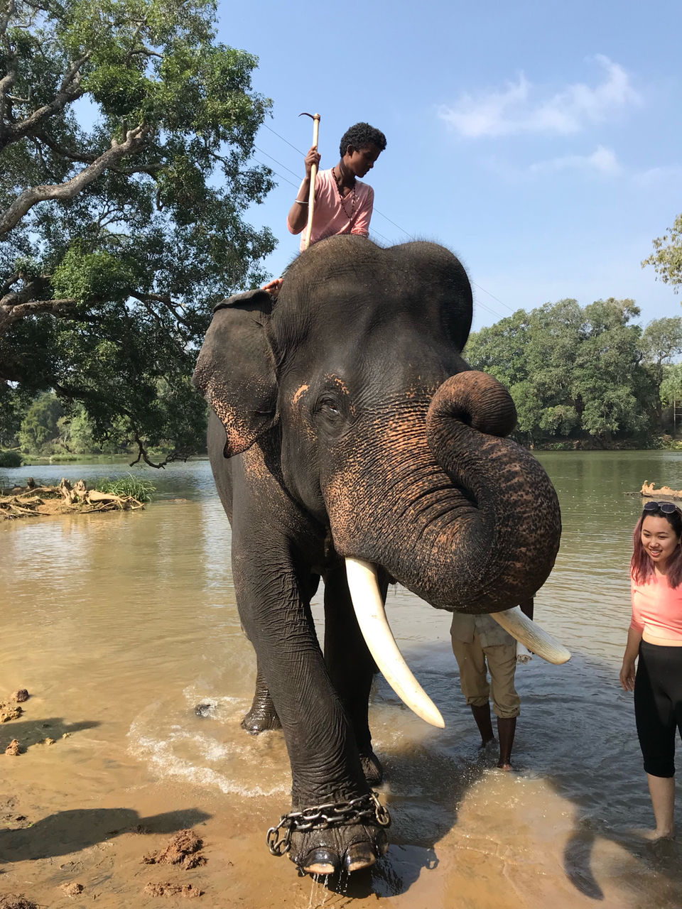 Photo of Dubare Elephant Camp, Nanjarayapatna, Karnataka, India by Shraddha