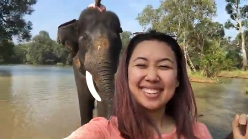 Photo of Dubare Elephant Camp, Nanjarayapatna, Karnataka, India by Shraddha