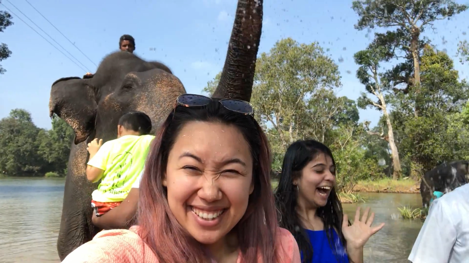 Photo of Bathing Elephants! by Shraddha