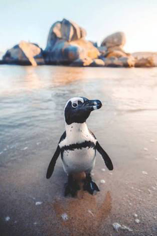 Photo of South Africa by Kat Kristian