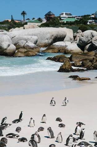 Photo of South Africa by Kat Kristian