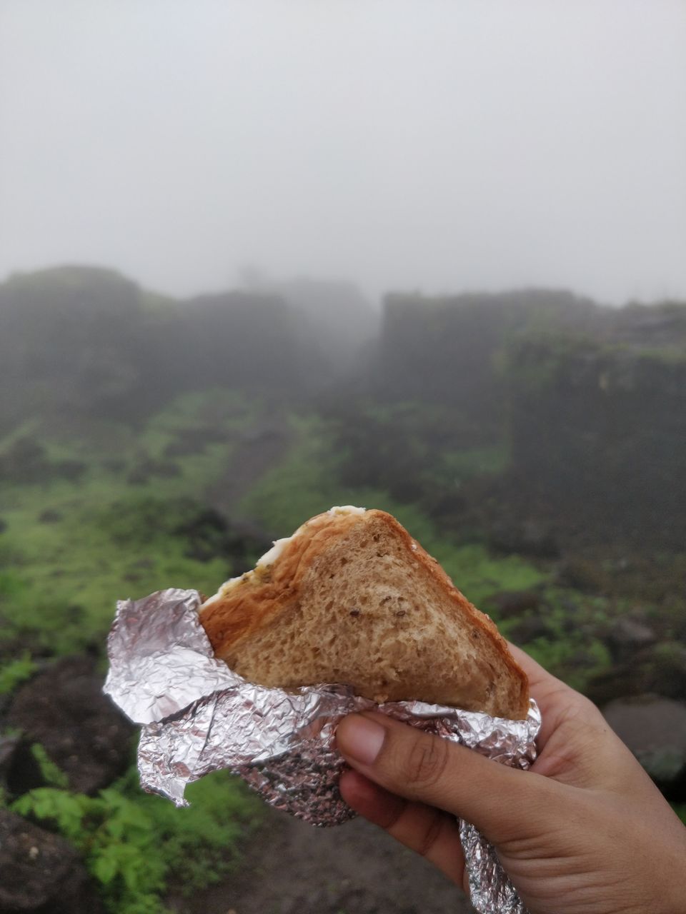 Photo of A rookie's guide to trek Lohgad by Mrinai Gulhane