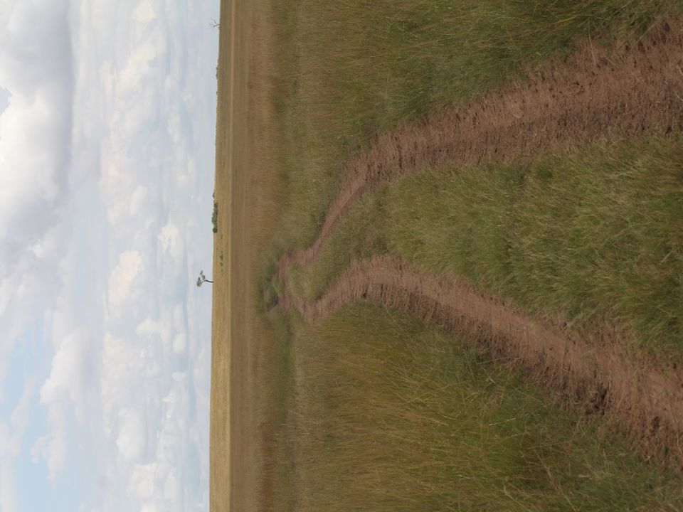 Photo of Masai Mara National Reserve, Kenya by Kaustubh Purohit