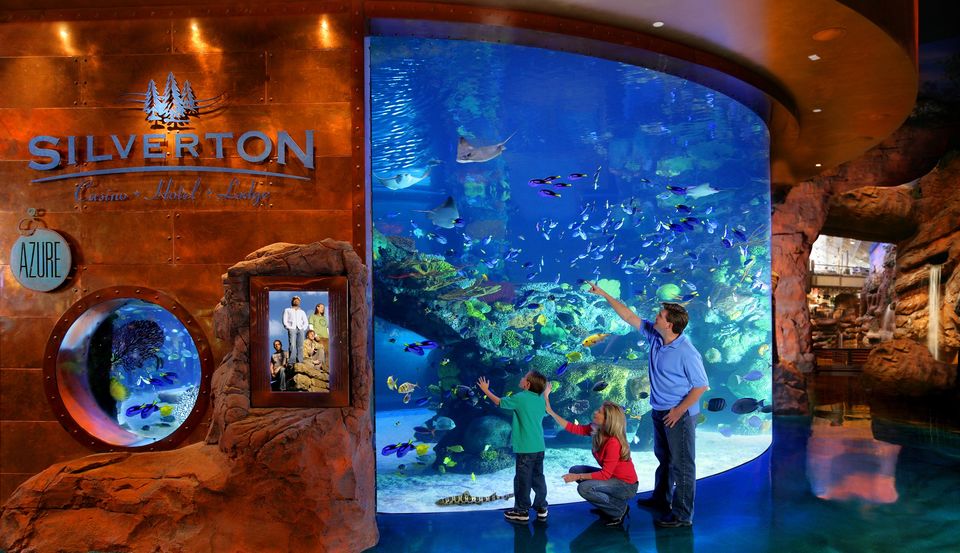 Photo of The Aquarium at the Silverton Hotel, Blue Diamond Road, Лас-Вегас, Невада, США by Jane Travel