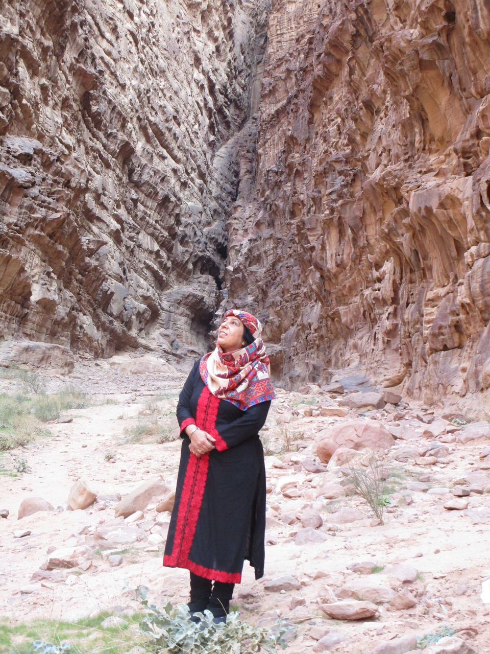 Photo of Wadi Rum Protected Area, Wadi Rum Village, Aqaba Governorate, Jordan by MANISHI VERMA