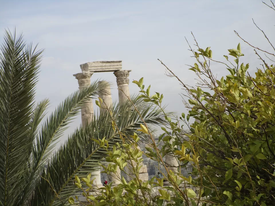 Photo of Amman Citadel, Amman, Amman Governorate, Jordan by MANISHI VERMA