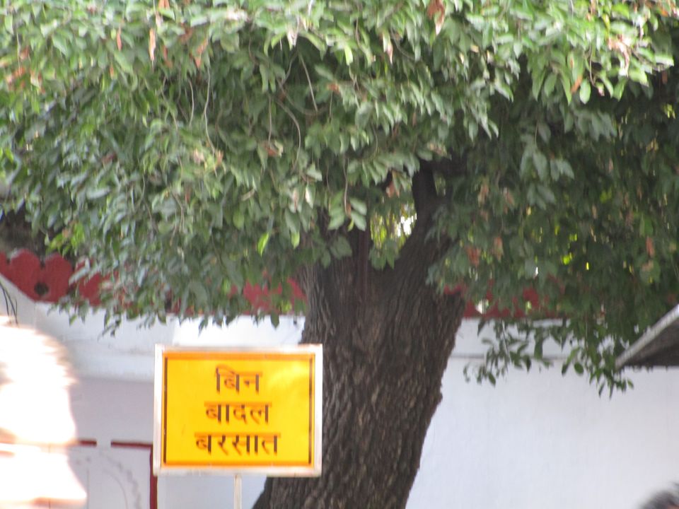 Photo of Udaipur: The School History Lessons Come To Life by MANISHI VERMA