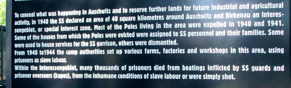 Photo of Auschwitz: The Darkest Period in Human History by MANISHI VERMA