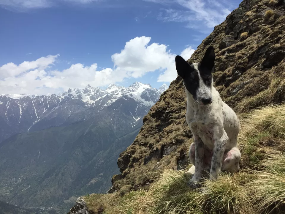 Photo of Nagaru Camp - YHAI, Sosan, Himachal Pradesh, India by Udit Khurana