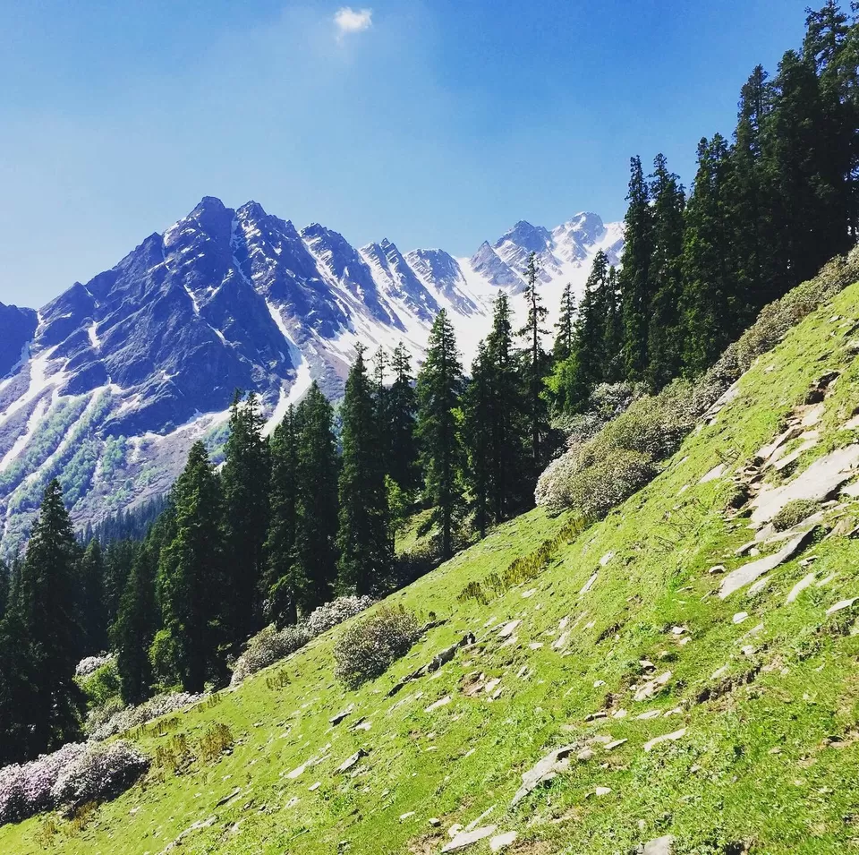 Photo of biskeri thatch, Sosan, Himachal Pradesh, India by Udit Khurana