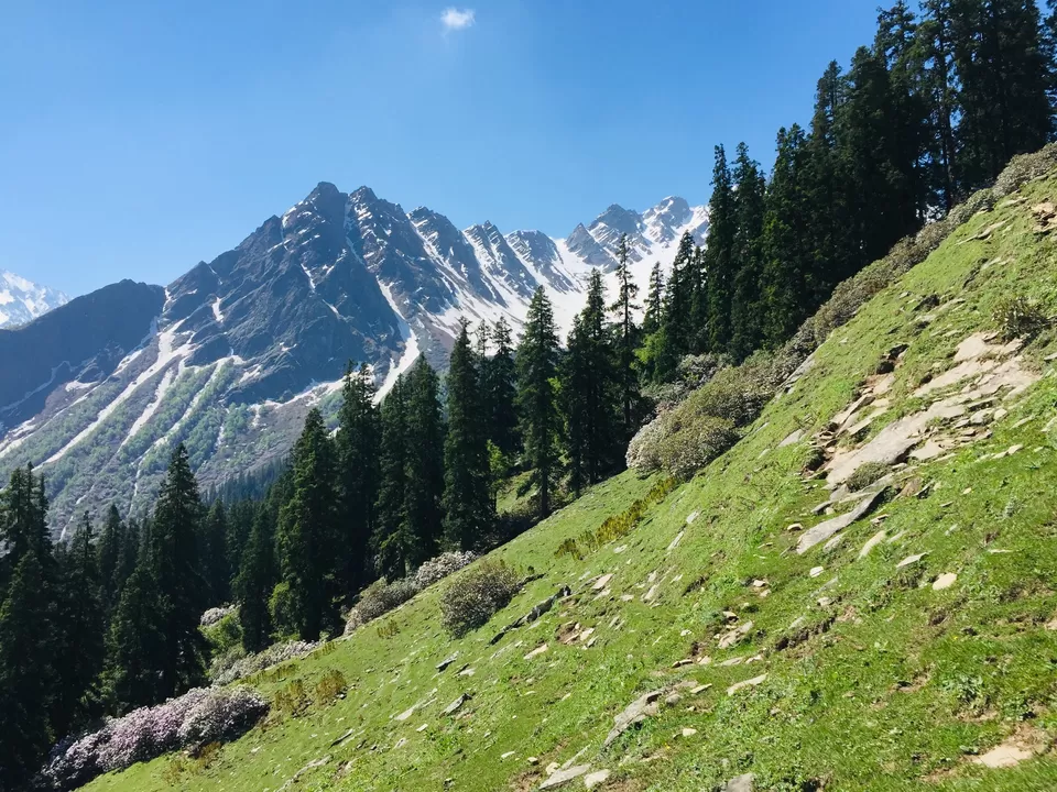 Photo of biskeri thatch, Sosan, Himachal Pradesh, India by Udit Khurana