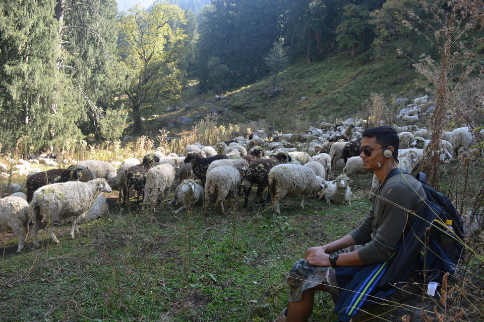 Photo of The Kheerganga Trek – Potpourri of Nature, Culture, and Counter-culture 8/31 by Bawray Banjaray
