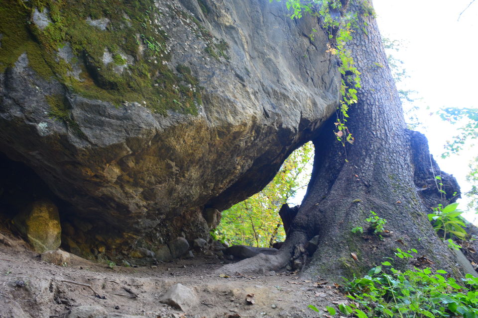 Photo of The Kheerganga Trek – Potpourri of Nature, Culture, and Counter-culture 11/31 by Bawray Banjaray
