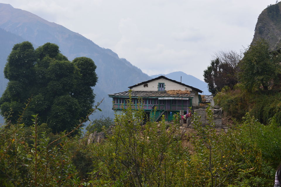 Photo of The Kheerganga Trek – Potpourri of Nature, Culture, and Counter-culture 12/31 by Bawray Banjaray