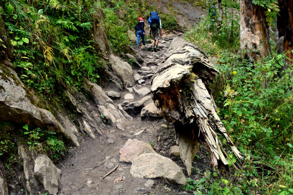 Photo of The Kheerganga Trek – Potpourri of Nature, Culture, and Counter-culture 25/31 by Bawray Banjaray