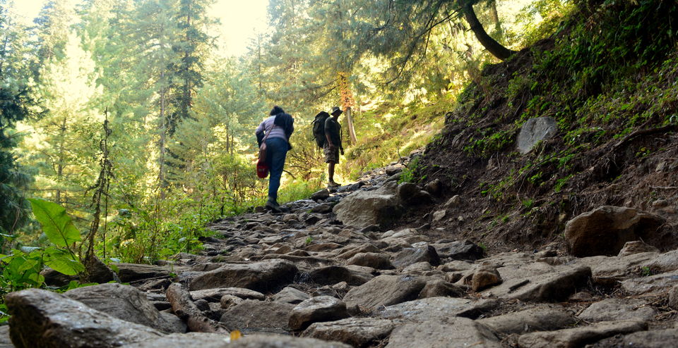 Photo of The Kheerganga Trek – Potpourri of Nature, Culture, and Counter-culture 16/31 by Bawray Banjaray