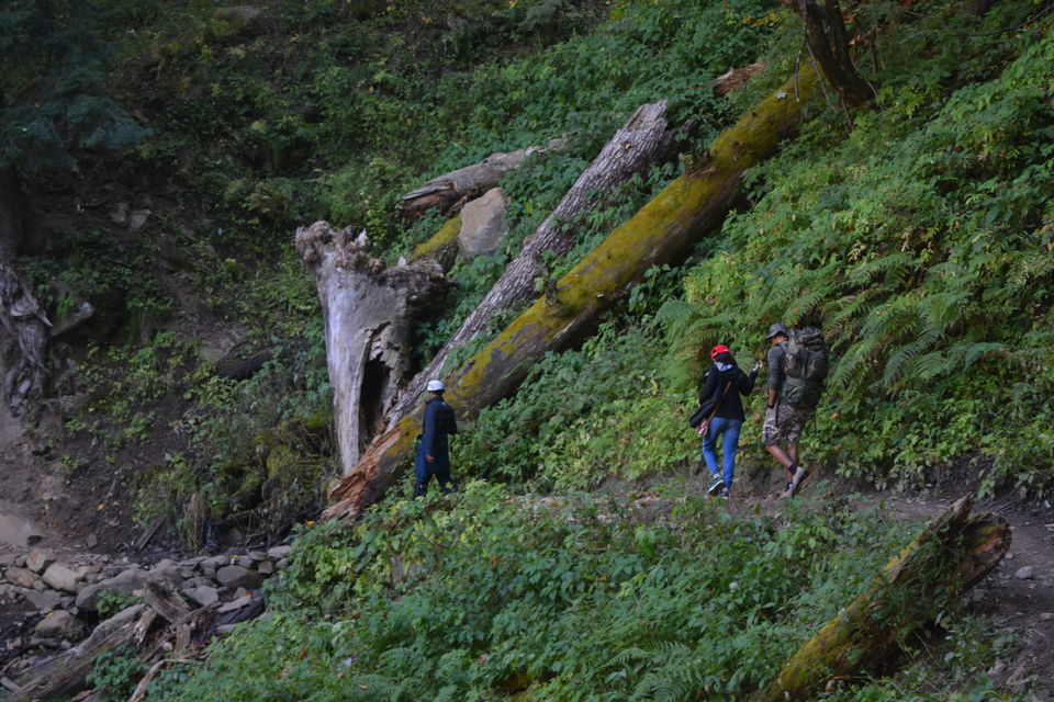 Photo of The Kheerganga Trek – Potpourri of Nature, Culture, and Counter-culture 14/31 by Bawray Banjaray